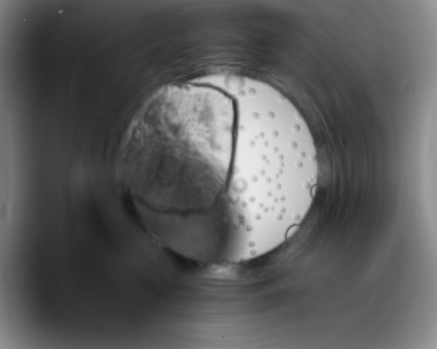 X0000089710573200707201803