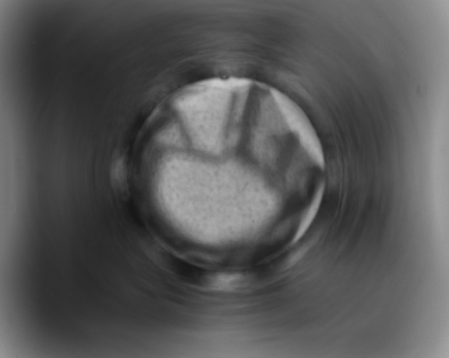 X0000089710575200707201803