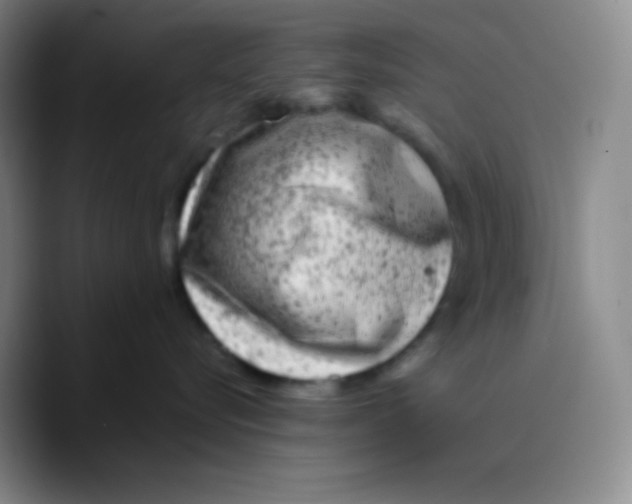 X0000089710576200707201803