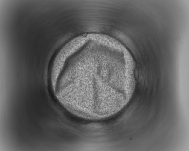 X0000089710578200707201802