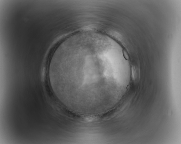 X0000089710579200707201802