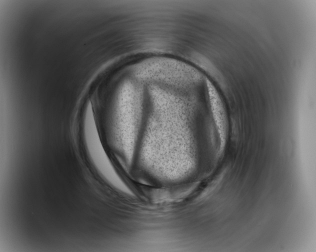 X0000089710580200707201802