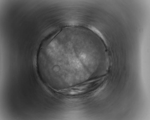 X0000089710581200707201802