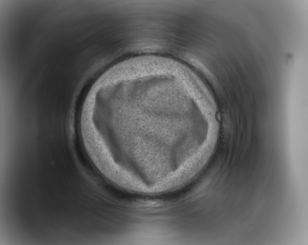 X0000089710582200707201802