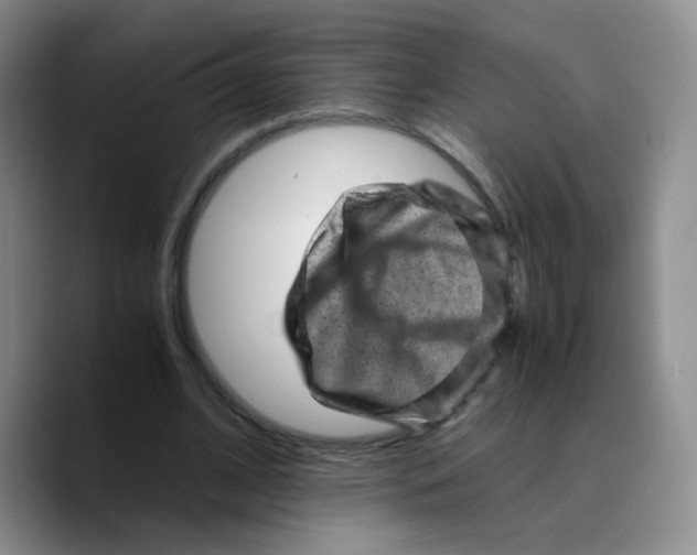 X0000089710584200707201802