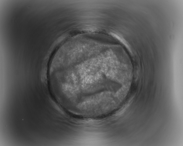 X0000089710585200707201802