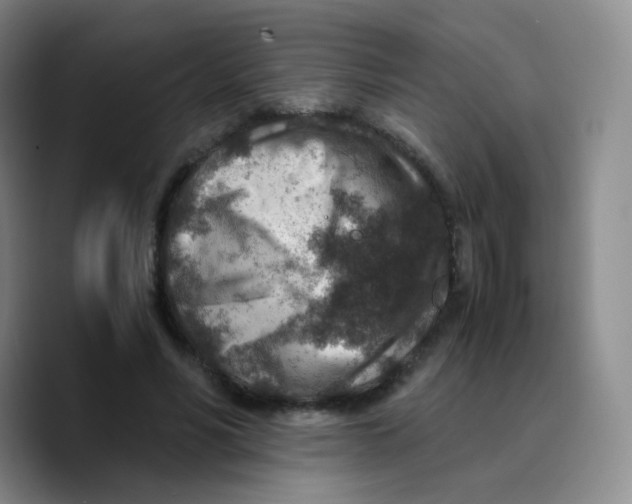 X0000089710590200707201802