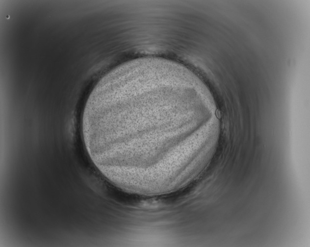 X0000089710591200707201802
