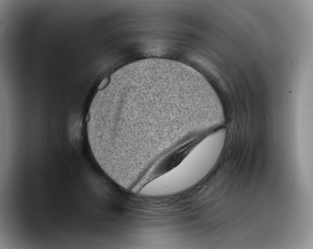 X0000089710596200707201802