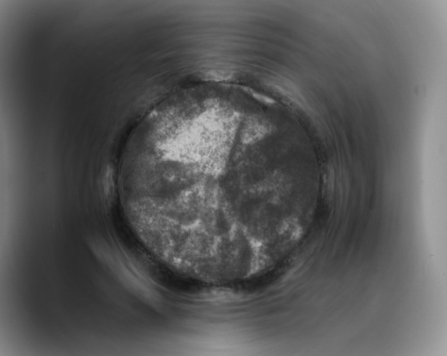 X0000089710598200707201802