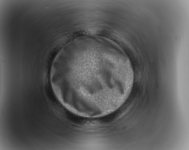 X0000089710599200707201802