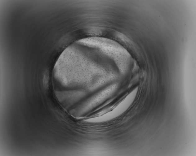 X0000089710600200707201802