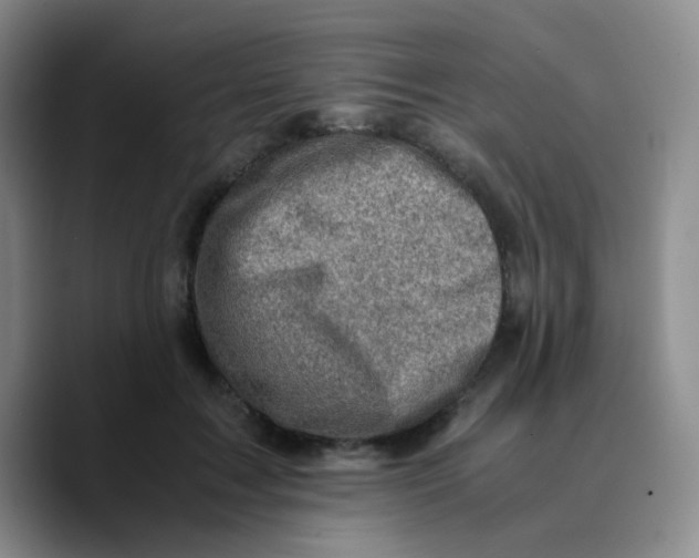 X0000089710603200707201802