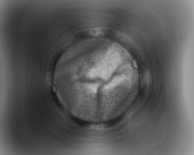 X0000089710606200707201802