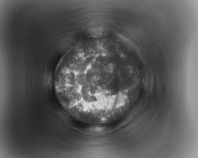 X0000089710610200707201802