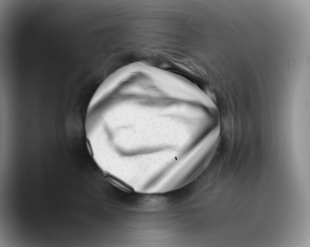 X0000089710617200707201802