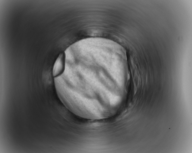 X0000089710620200707201802