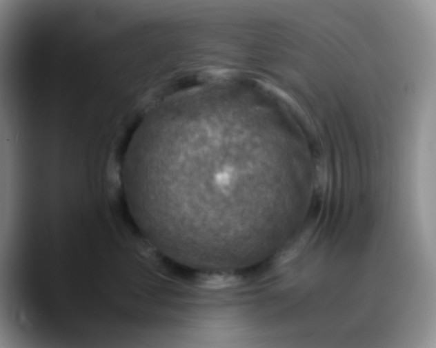 X0000089710621200707201802