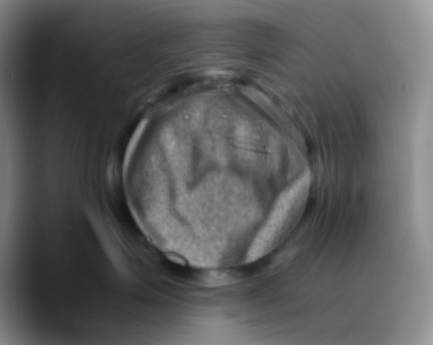 X0000089710623200707201802