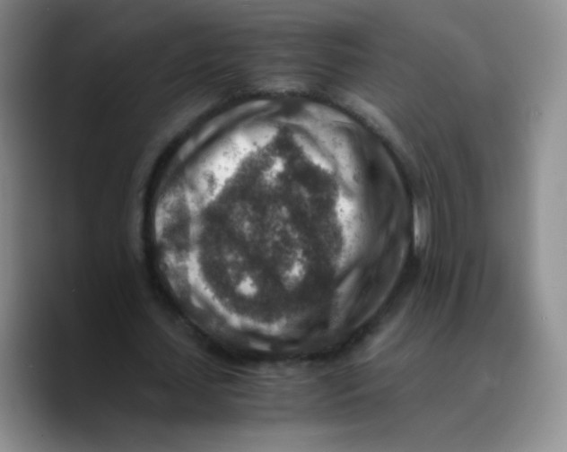 X0000089710627200707201801