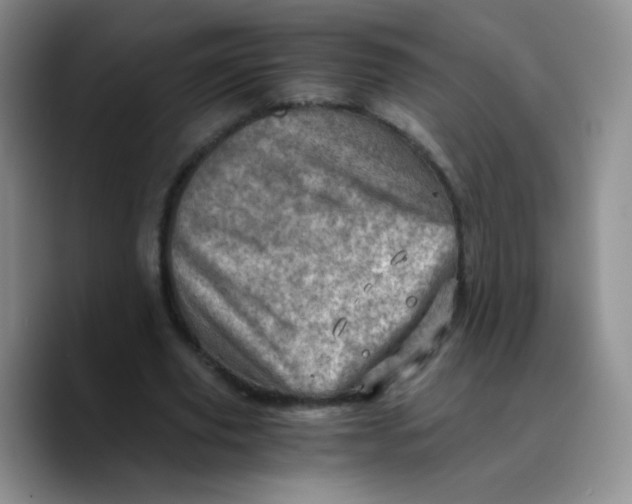 X0000089710629200707201801