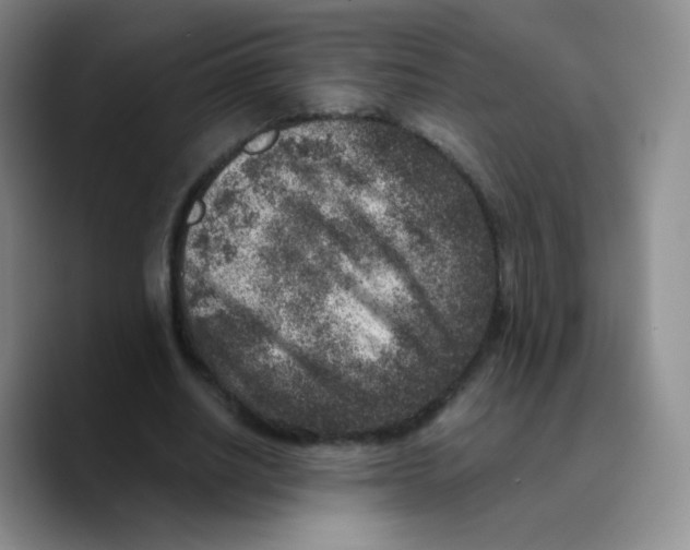X0000089710630200707201801