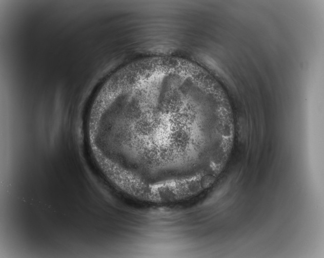 X0000089710634200707201801