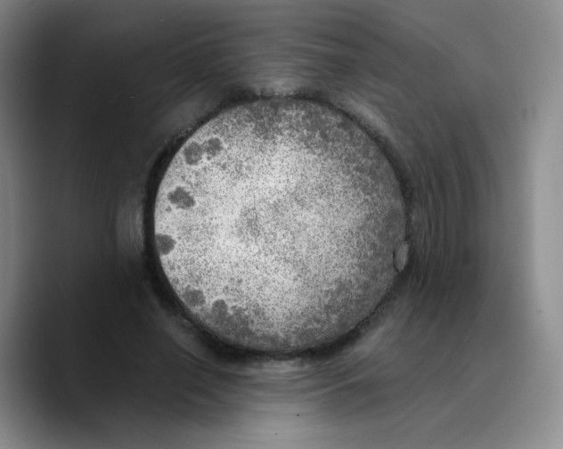 X0000089710638200707201801