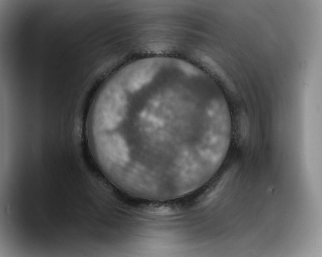 X0000089710640200707201801