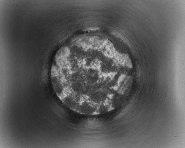 X0000089710641200707201801