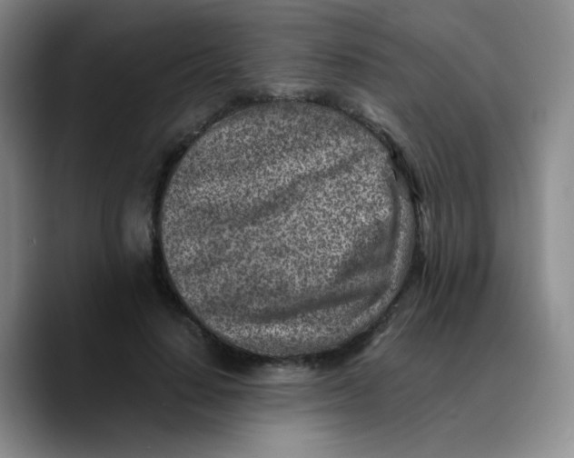 X0000089710644200707201801
