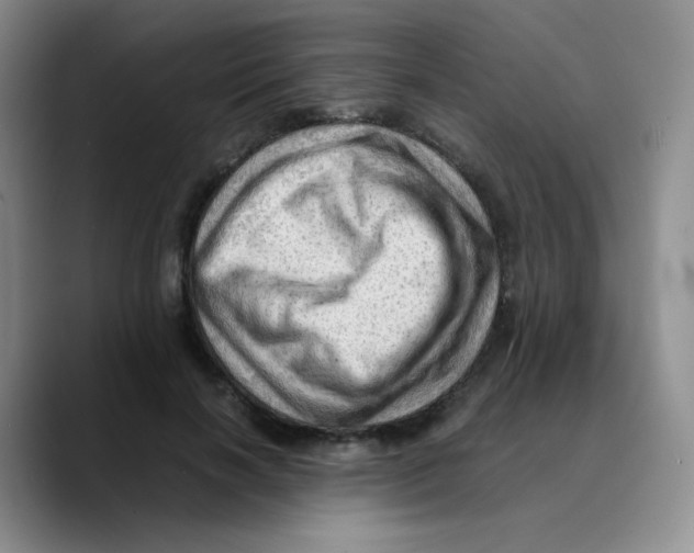 X0000089710646200707201801