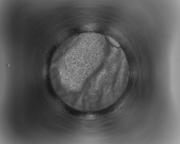 X0000089710647200707201801