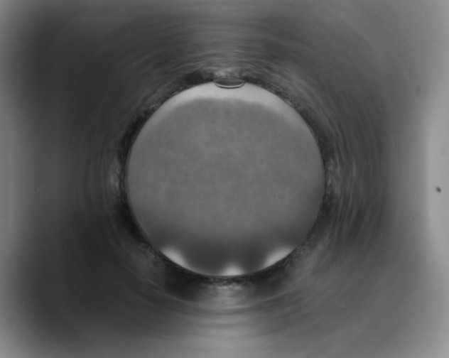 X0000089710650200707201801