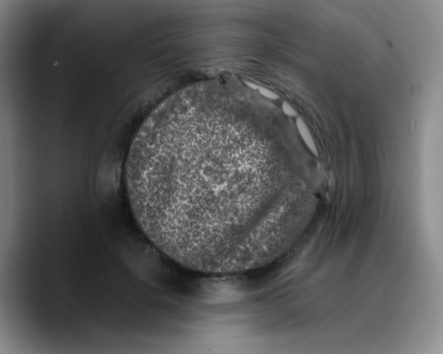 X0000089710652200707201801
