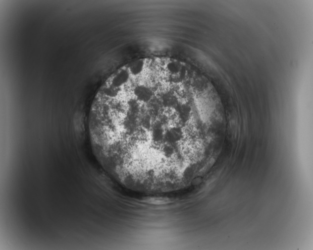 X0000089710654200707201801