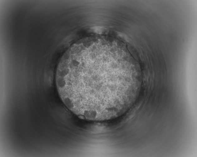 X0000089710656200707201801