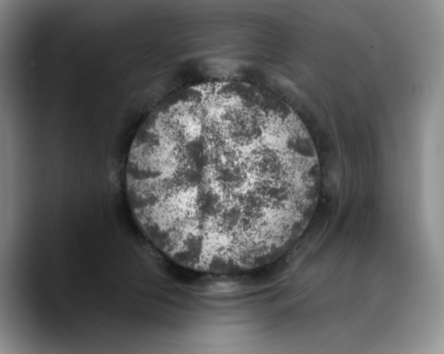X0000089710658200707201801