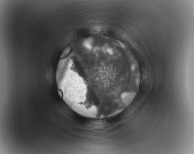 X0000089710659200707201801