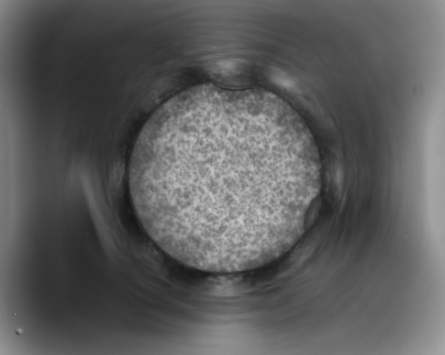X0000089710660200707201801