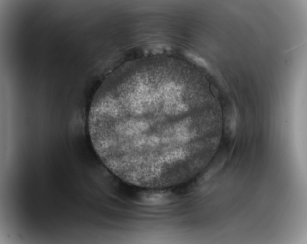 X0000089710661200707201801