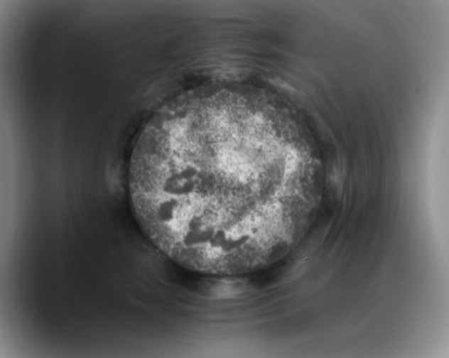 X0000089710663200707201801