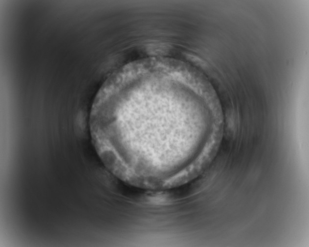 X0000089710667200707201802