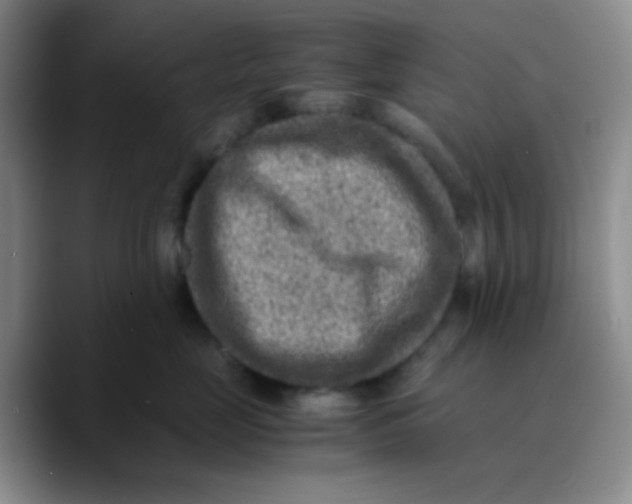 X0000089710669200707201802