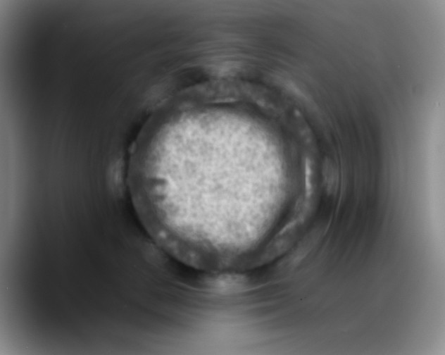 X0000089710670200707201802