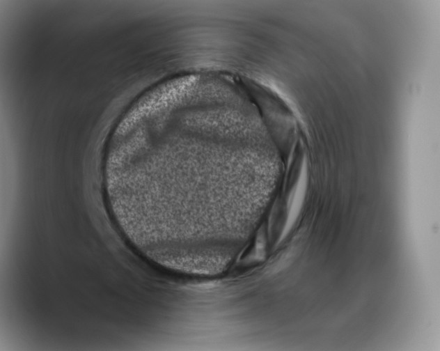 X0000089710673200707201801