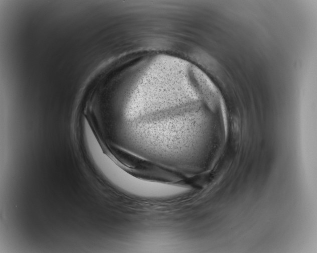 X0000089710676200707201801