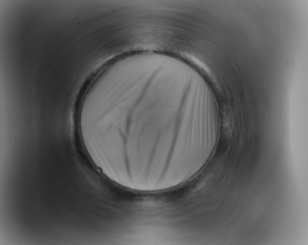 X0000089710678200707201801