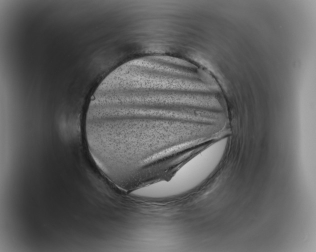 X0000089710681200707201801
