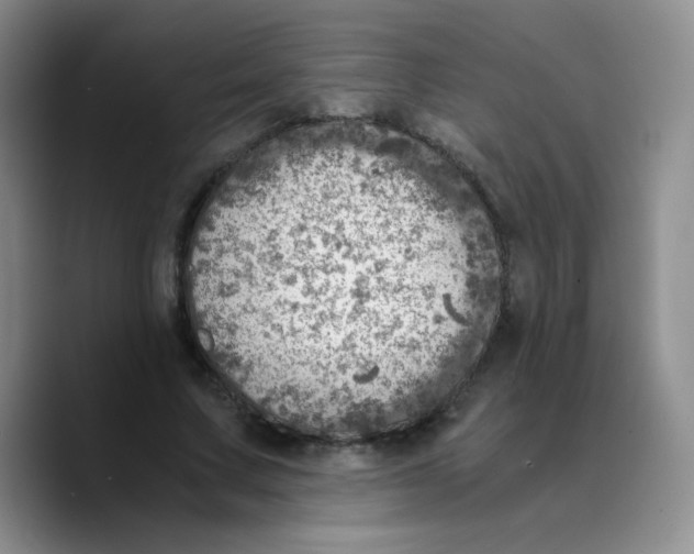 X0000089710683200707201801